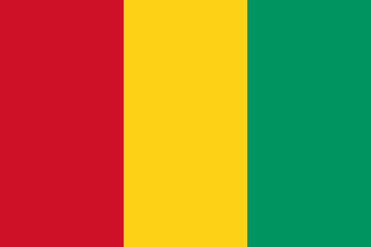 Guinea flagga – produktbild – Hiprock