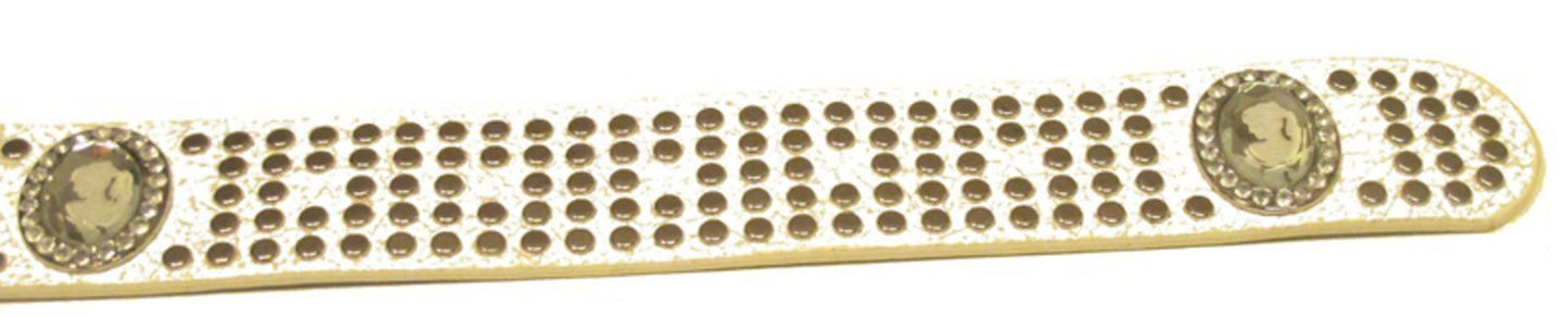 Rivet belt with small round rivets