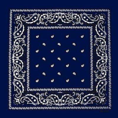 Paisley Bandana flertal färger – produktbild – Hiprock