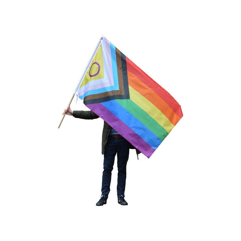 Progress Pride Flagg - 150 * 90 cm