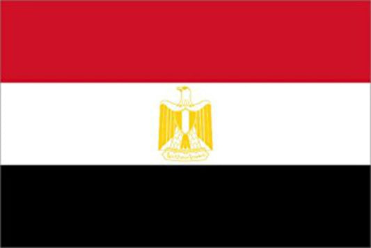 Egyptens flagga