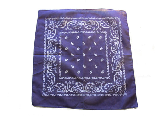 Lila Bandana Paisley Scarf –  produktbild – Hiprock