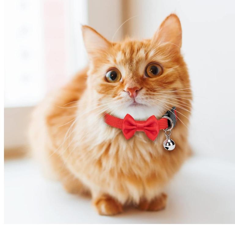 Röd Söta Katt-Halsband med Fluga och Bjällra - Justerbara och Bekväma